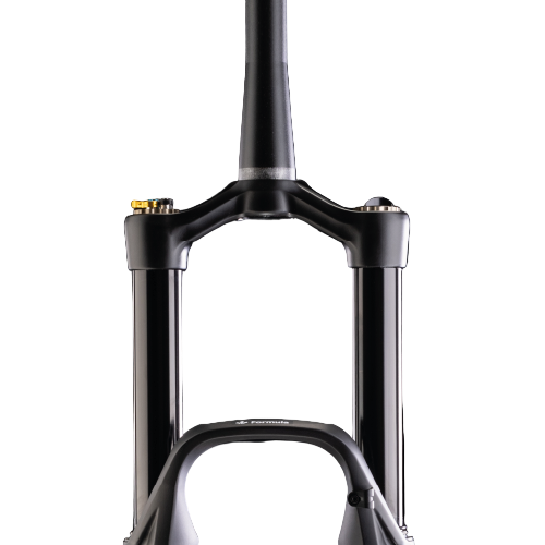 Gabel FORMULA SELVA S Air 29" Achse 15x110mm Boost Schwarz