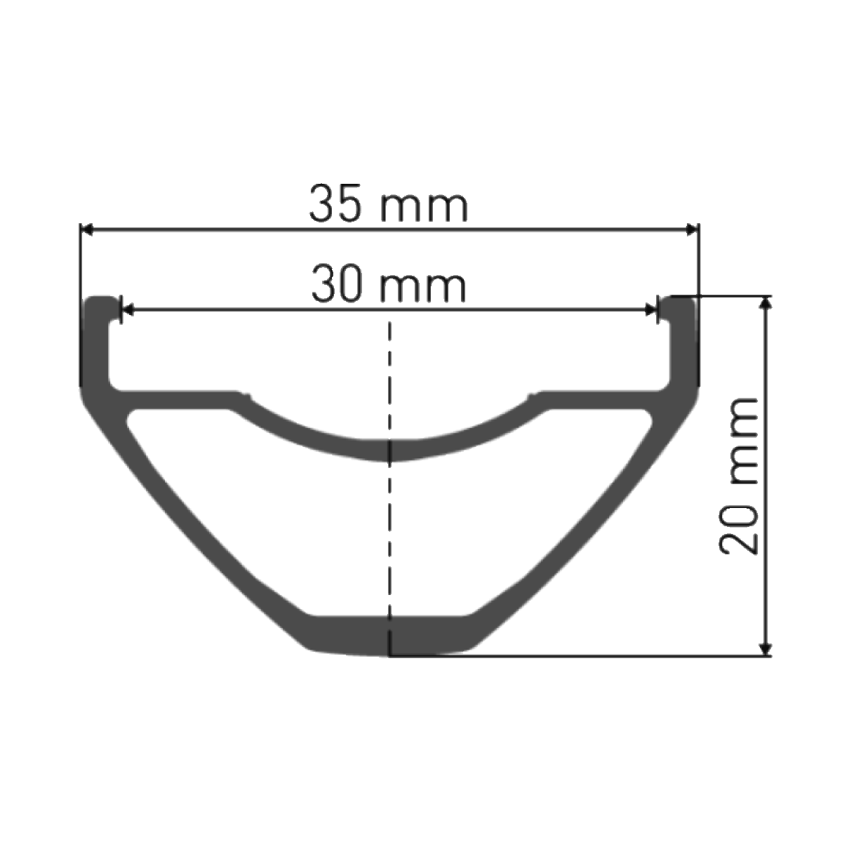 Vorderrad DT SWISS H 1900 SPLINE 30 mm 29" 15x110 mm Boost