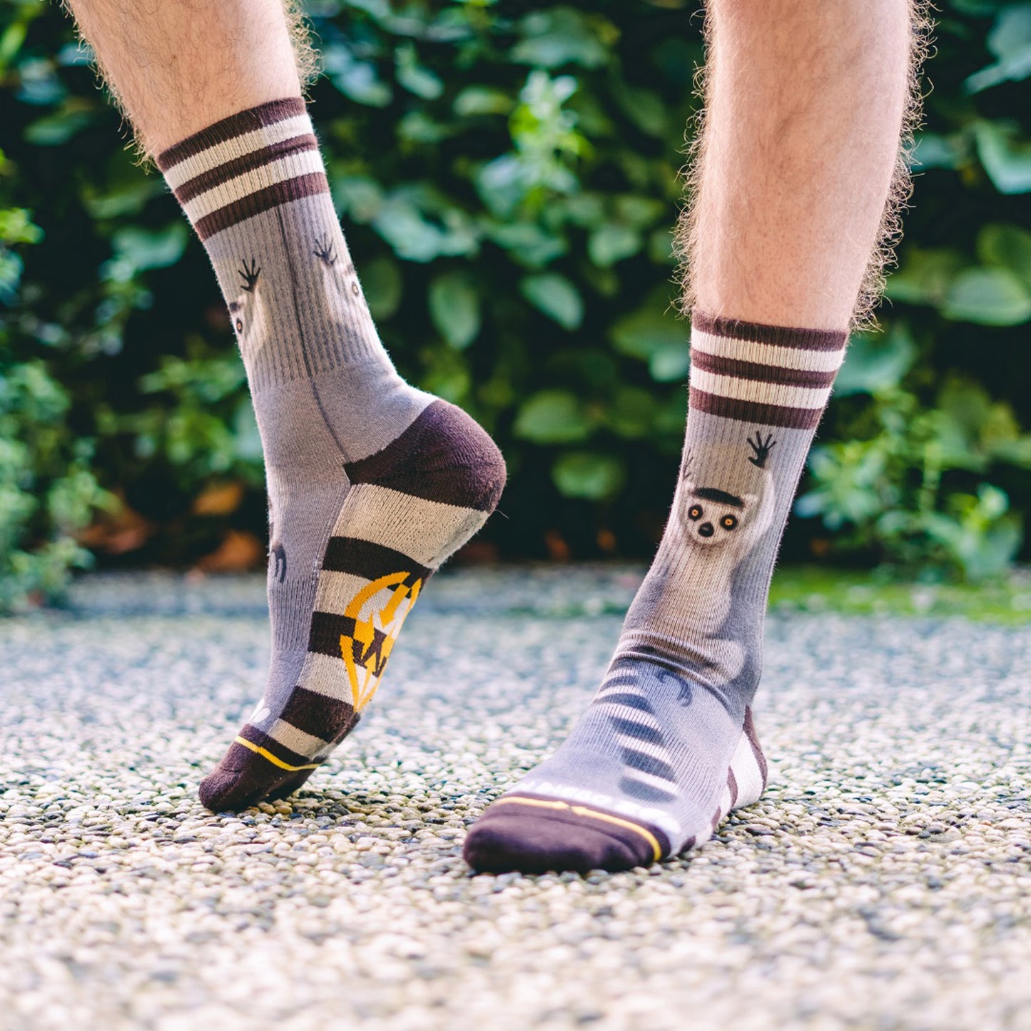 Socken MERGE4 RING TAIL LEMUR