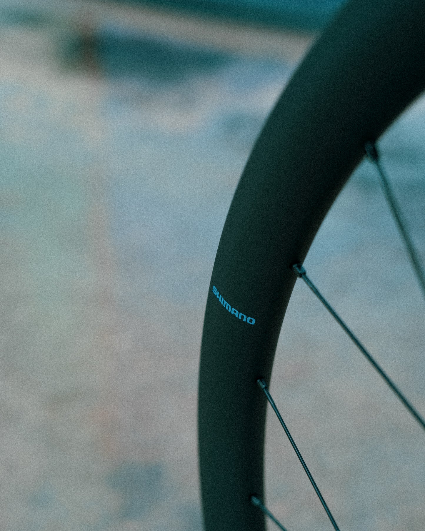 Vorderrad SHIMANO GRX WH-RX880 700c Tubeless Ready (Center Lock)