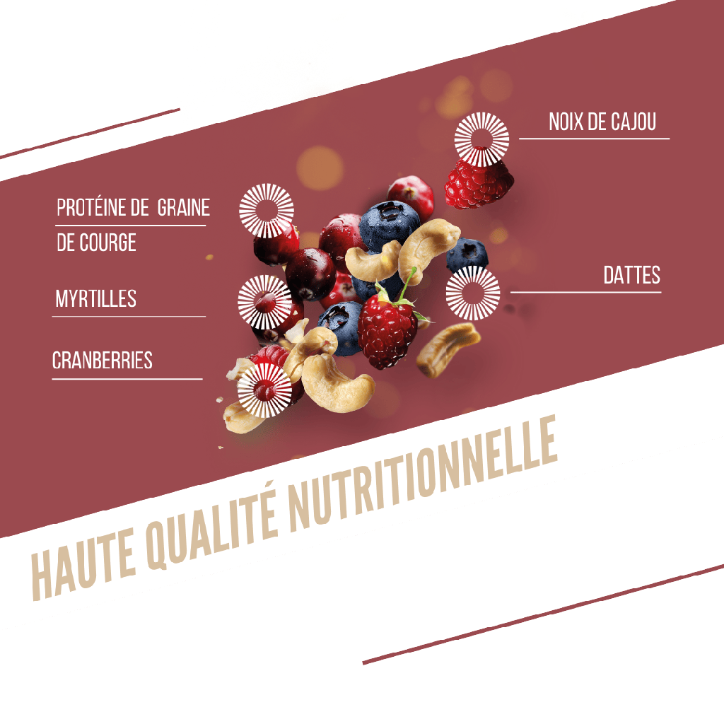 BAOUW BIO EXTRA Proteinriegel Rote Früchte/Cashew (50g)