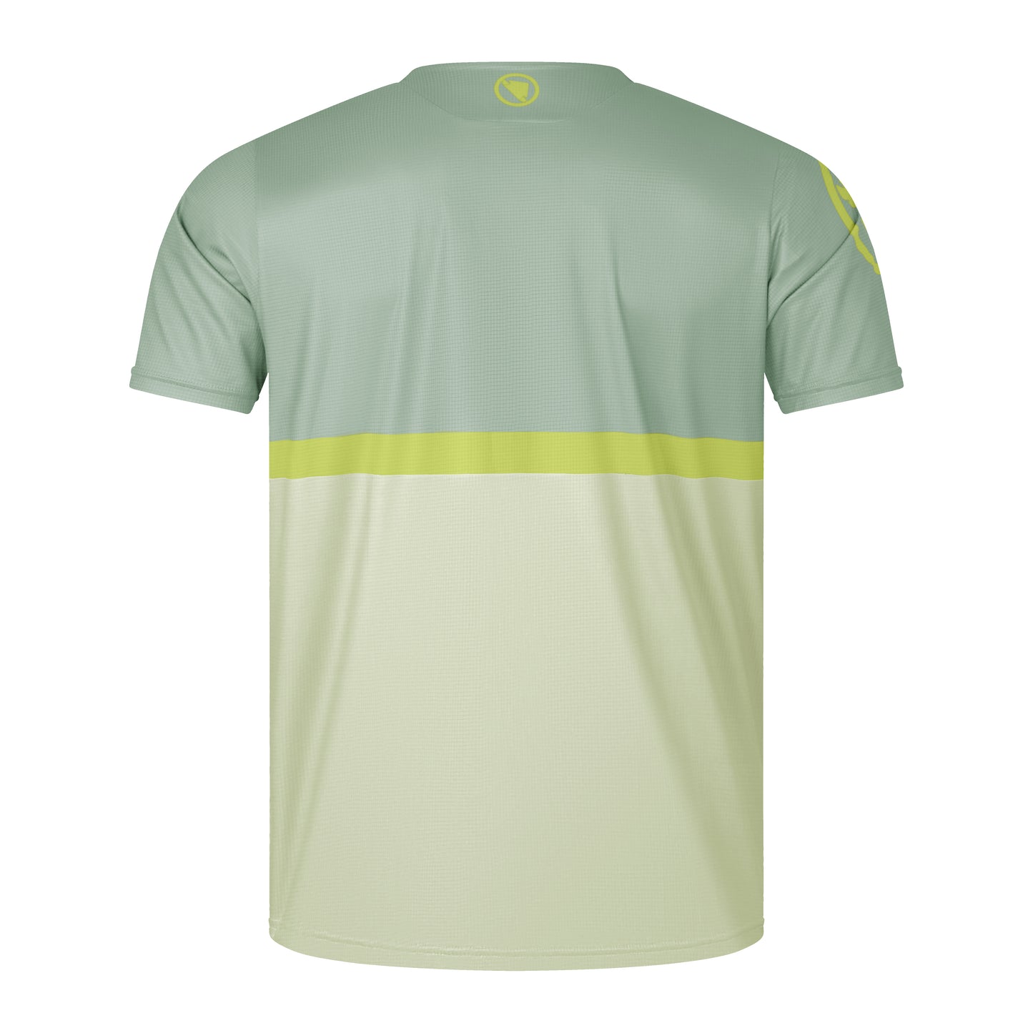 ENDURA SINGLETRACK CORE TEE II Trikot Kurzarm Grün 2025