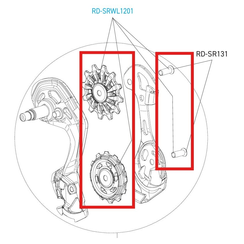 CAMPAGNOLO SUPER-RECORD 12V WRL DISC Schaltwerksrollen