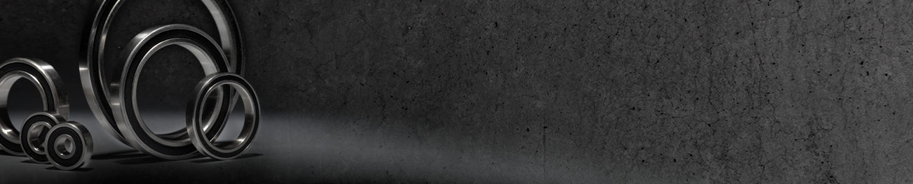 Mountainbike | Lager | Keramik