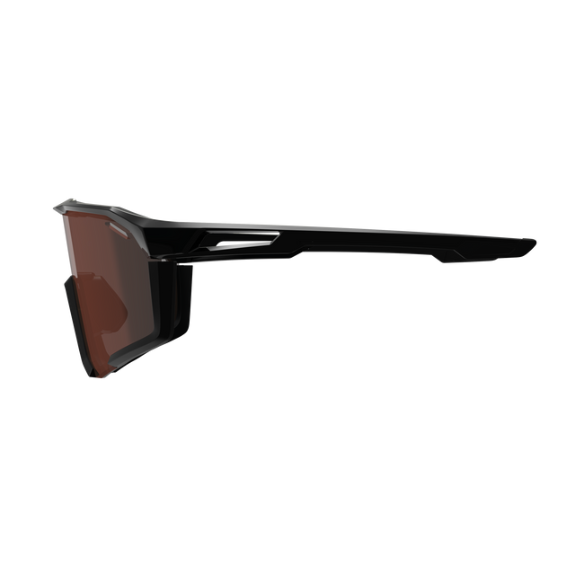 LEATT SPEEDVIZ PRO Brille Schwarz Satin IRIZ Silber 30 VLT