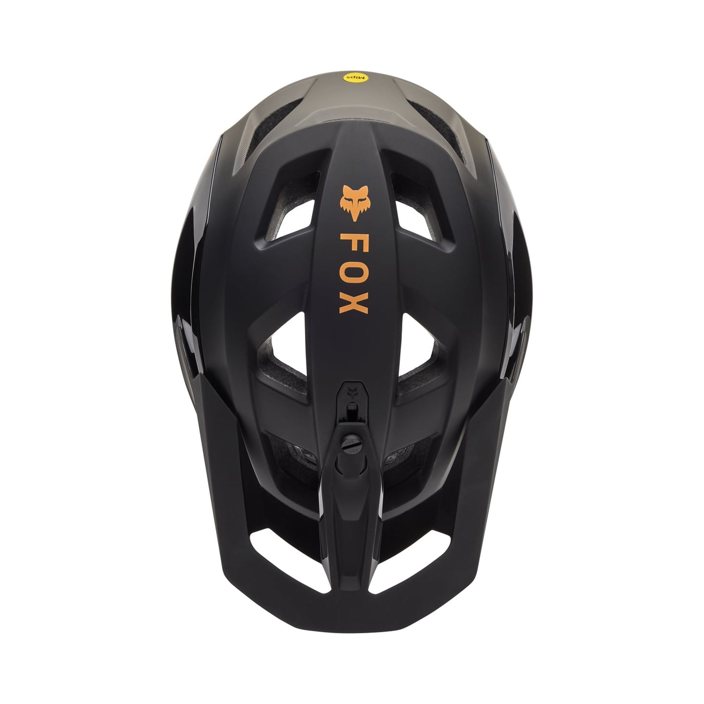 MTB-Helm FOX SPEEDFRAME PRO BACKFADE MIPS Schwarz 2025