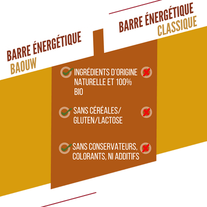 Energieriegel BAOUW BIO EXTRA Mango Cashew (50g)
