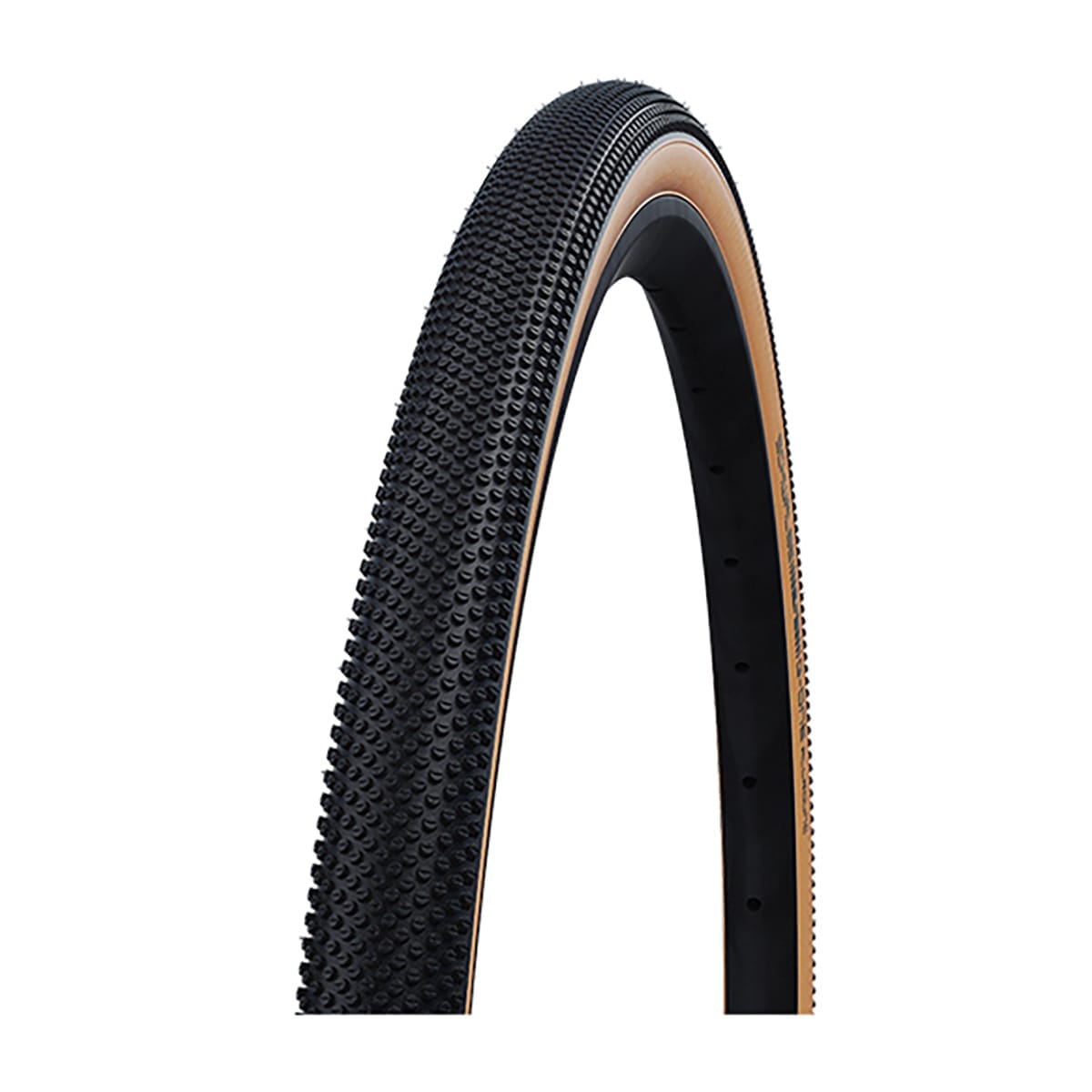 Pneu SCHWALBE G-ONE ALLROUND PERFORM DD RGUARD 700x35c Tubeless Ready E-25 Noir