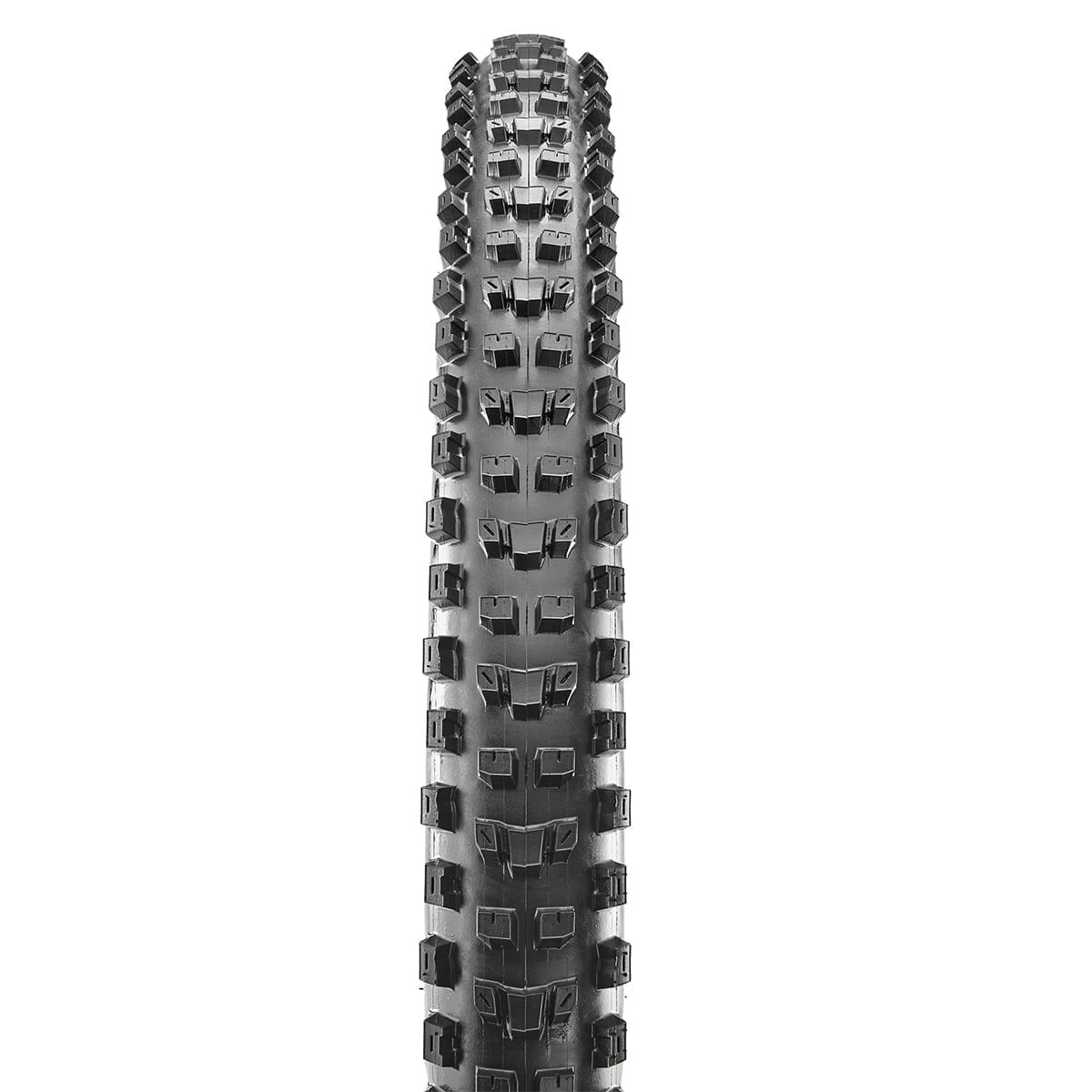 Pneu MAXXIS DISSECTOR 27.5x2.40 WT Exo Tubeless Ready Souple TB00240600