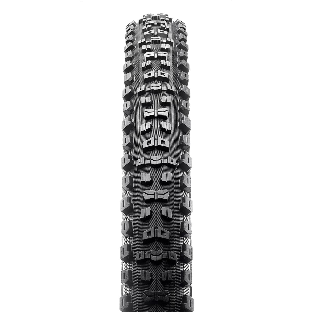 Pneu MAXXIS DISSECTOR 29x2,60 Exo 3C Terra Tubeless Ready Souple Noir