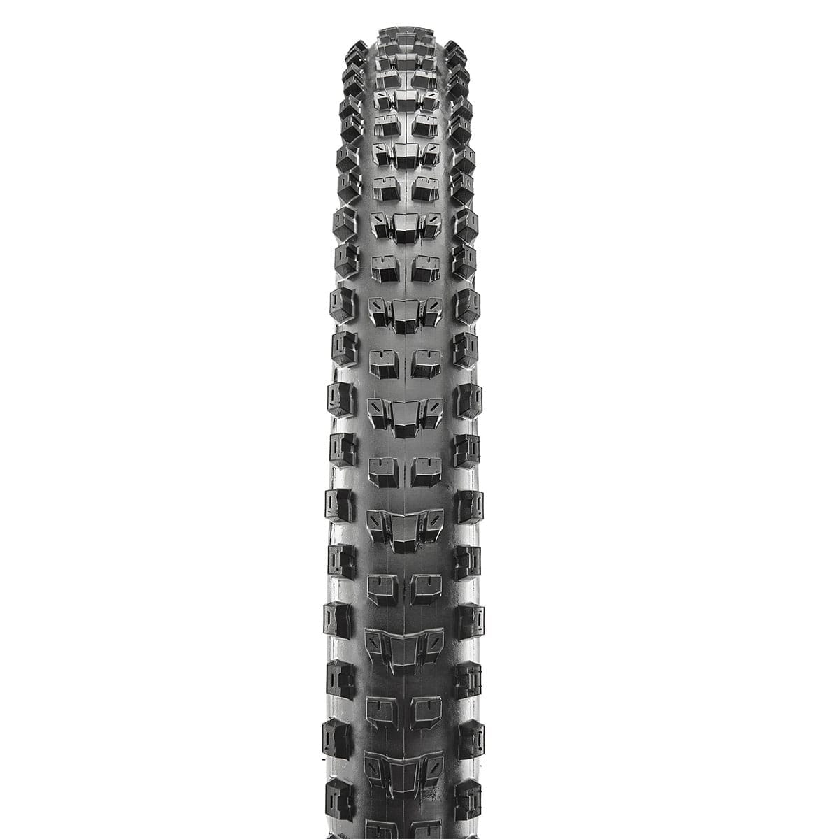 Pneu MAXXIS DISSECTOR 29x2.40 WT 3C Maxx Terra Exo+ Tubeless Ready Souple TB00259800