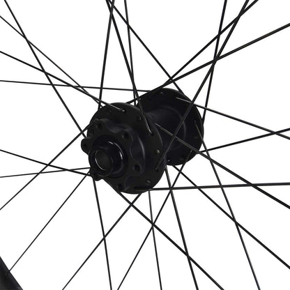 CRANKBROTHERS SYNTHESIS E-MTB I9 29" 15x110 mm Boost Vorderrad