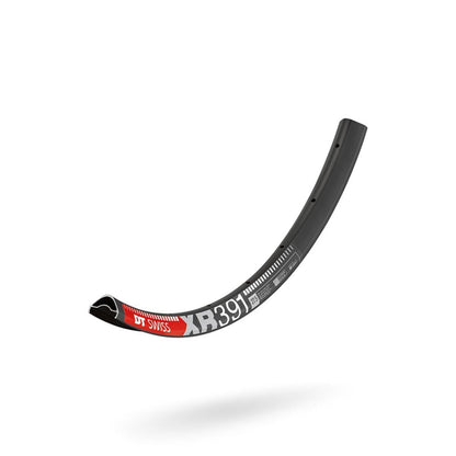 Felge DT SWISS XR 391 29'' 25 mm