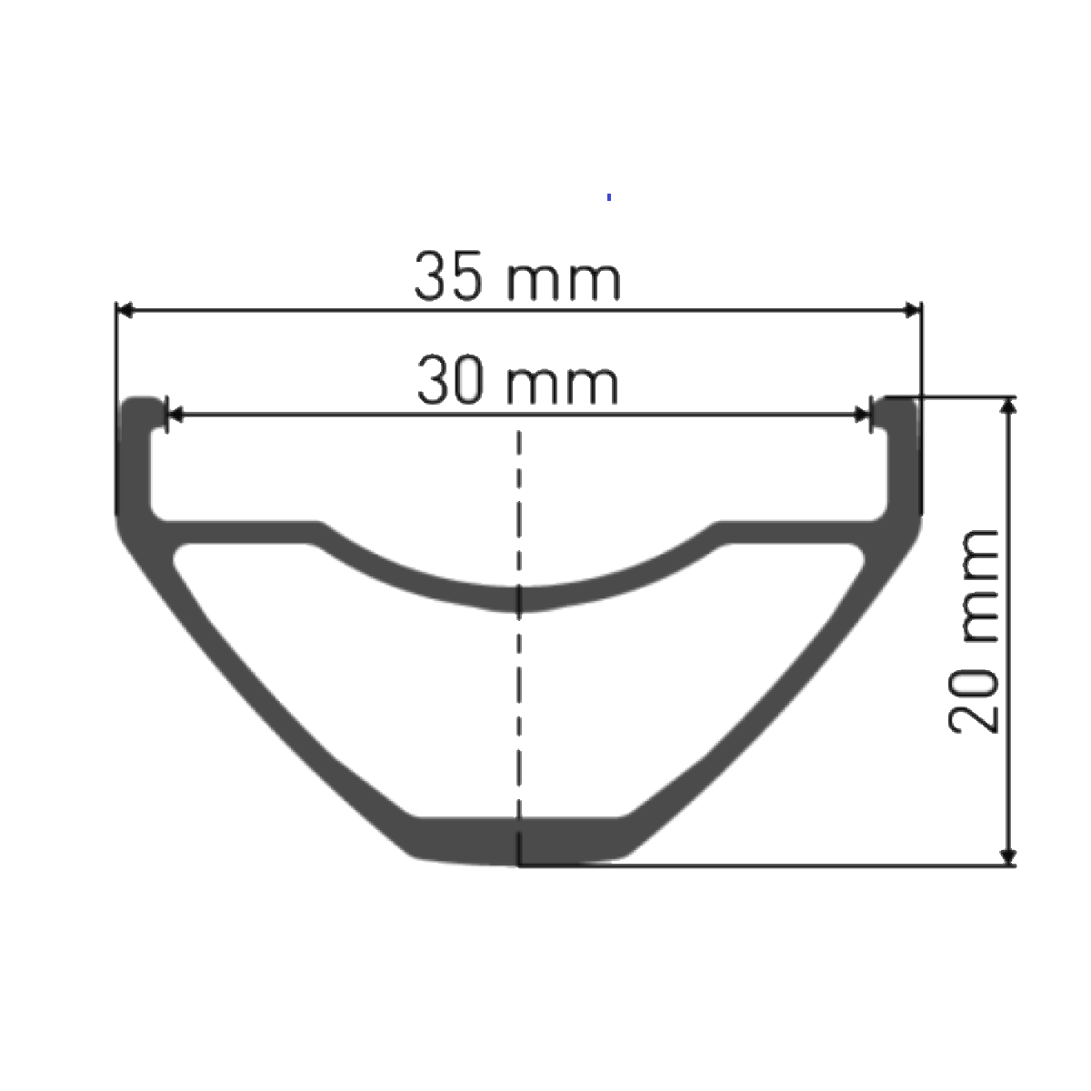 Vorderrad DT SWISS M 1900 SPLINE 30 mm 29'' 15x110 mm Boost