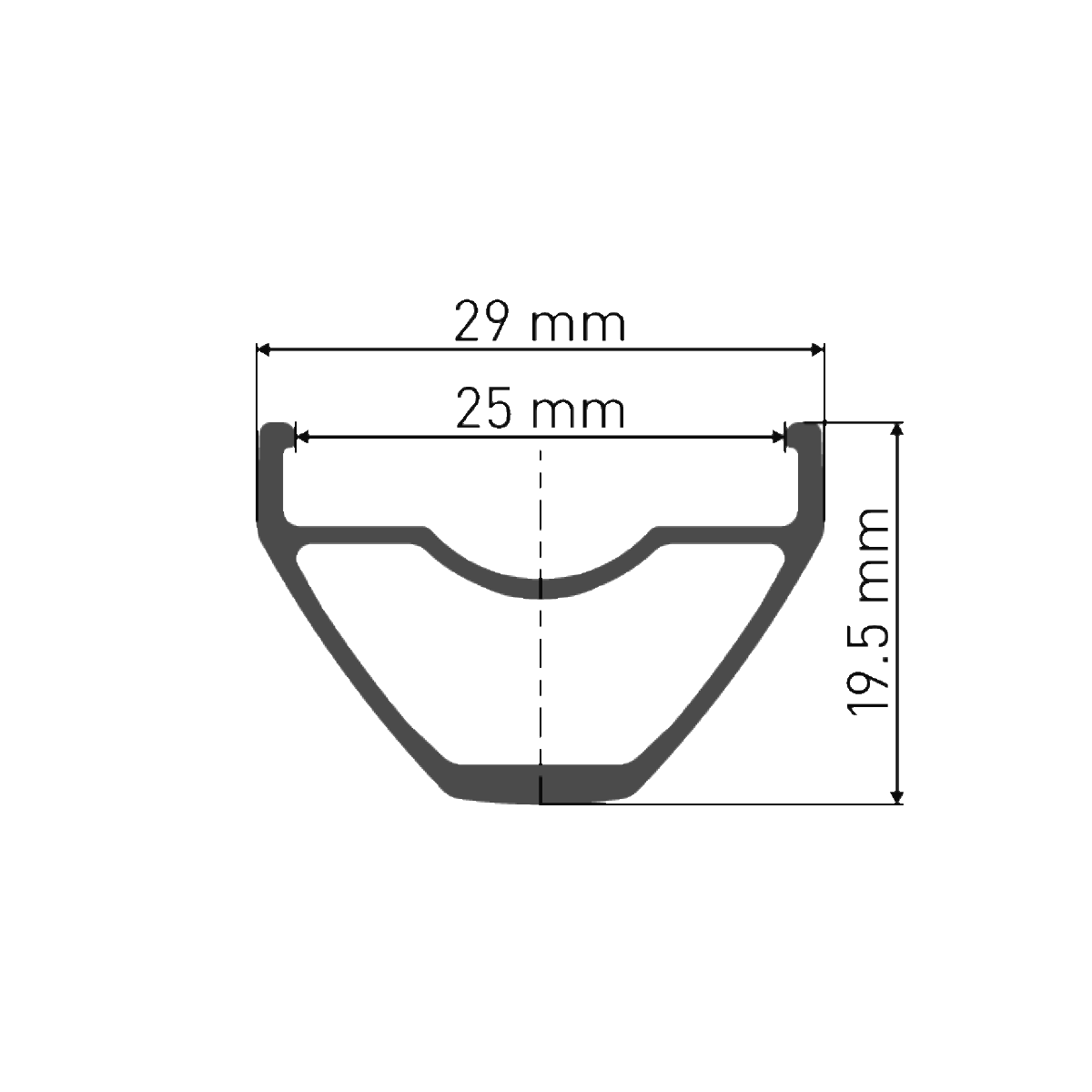 Vorderrad DT SWISS X 1900 SPLINE 25 mm 29" 15x100 mm