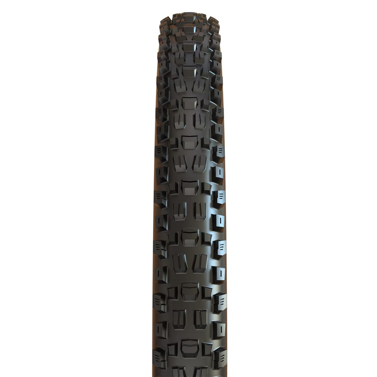 Reifen MAXXIS ASSEGAI 29x2.50 WT BikePark DH Tubeless Ready Starr Schwarz