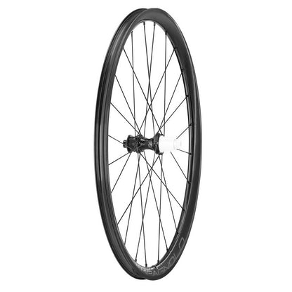 Laufradsatz CAMPAGNOLO LEVANTE 2-WAY FIT DISC 700c