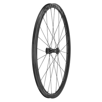 Laufradsatz CAMPAGNOLO LEVANTE 2-WAY FIT DISC 700c