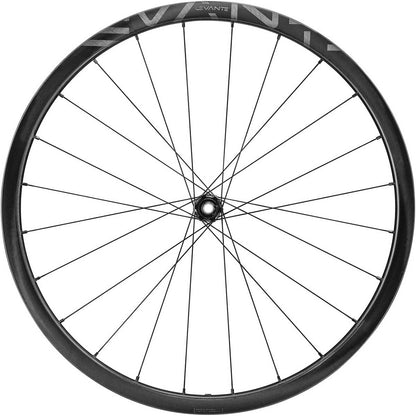 Laufradsatz CAMPAGNOLO LEVANTE 2-WAY FIT DISC 700c