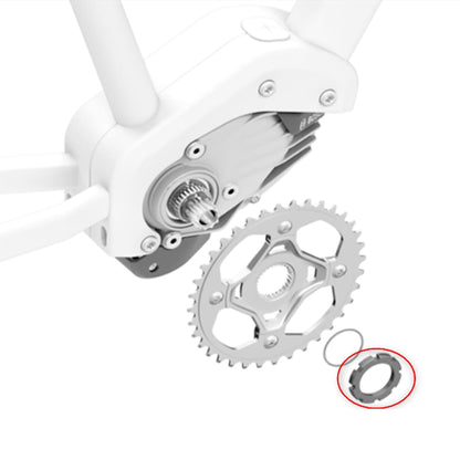 Werkzeug für Verriegelungsring CYCLUS TOOLS BOSCH 4. Generation #2123268
