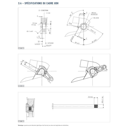 UDH CAMPAGNOLO LASCHE FÜR DIREKTMONTAGE MOUNT 13