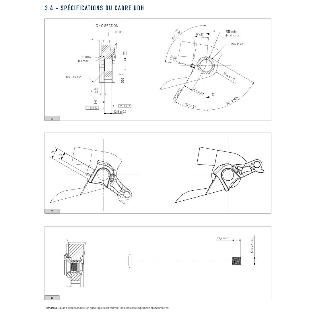 UDH CAMPAGNOLO LASCHE FÜR DIREKTMONTAGE MOUNT 13