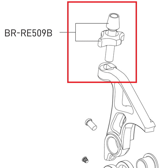 Einstellschraube für Direct Mount Bremssattel CAMPAGNOLO SUPER RECORD / RECORD 12V