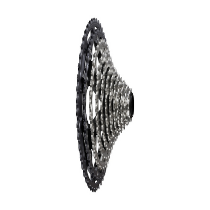 12-fach Kassette SHIMANO XT CS-M8200