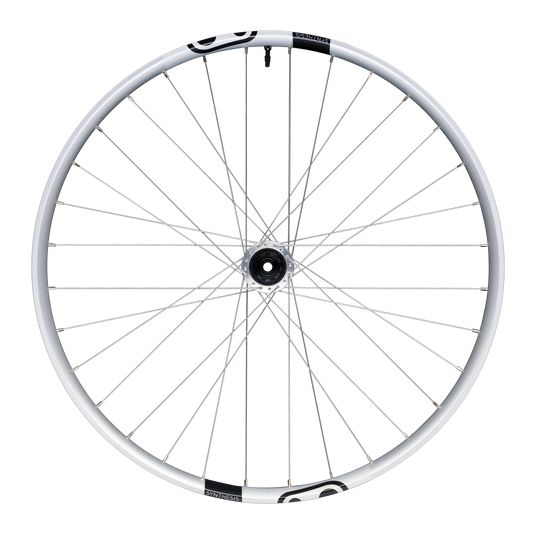 Hinterrad CRANKBROTHERS SYNTHESIS Aluminium 2.0 E-BIKE I9 29" 12x148 mm Boost Silber
