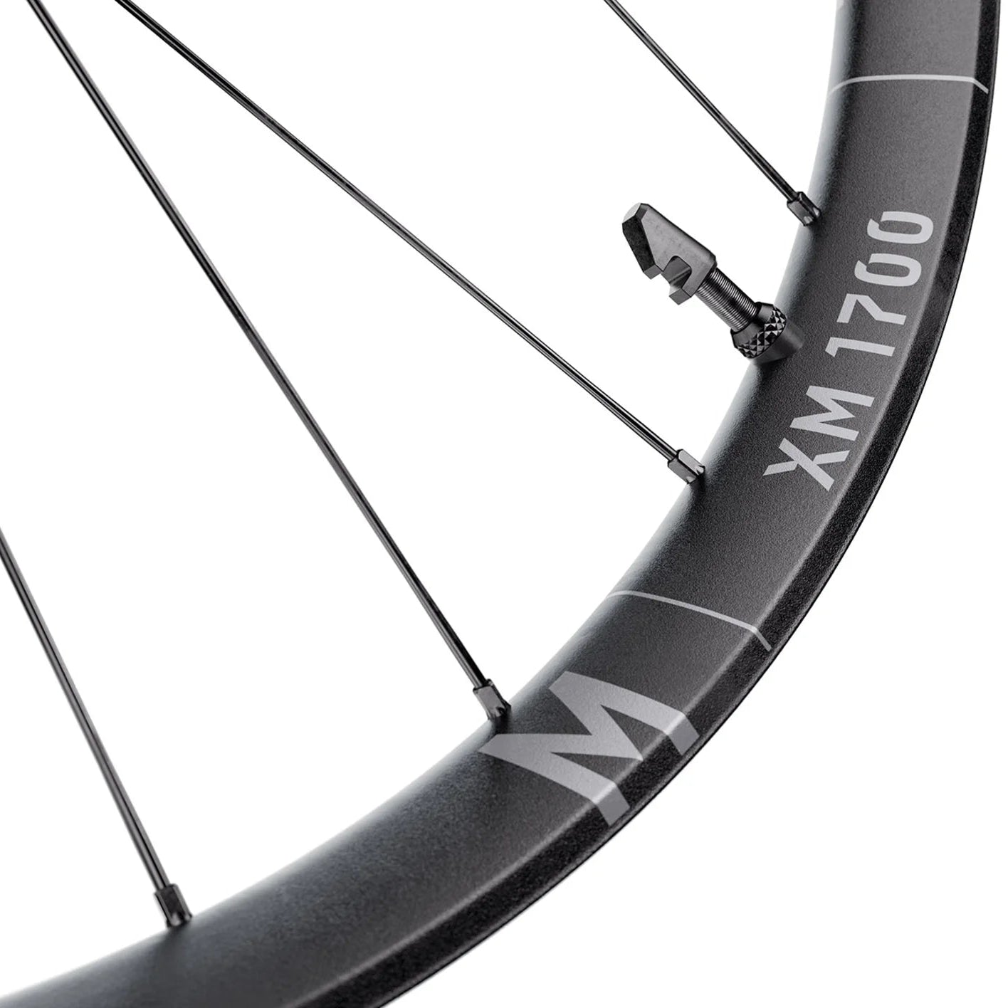 Vorderrad DT SWISS XM 1700 SPLINE 30 mm 29" 15x110 mm Boost 2026
