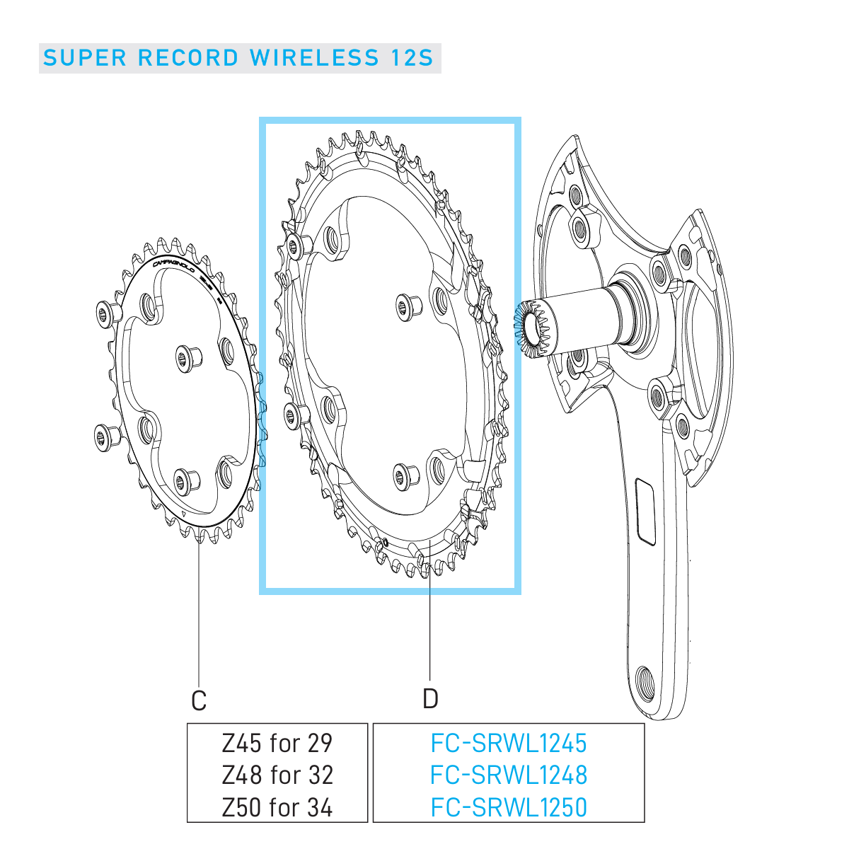 Kettenblatt Outdoor 12V CAMPAGNOLO SUPER RECORD WRL