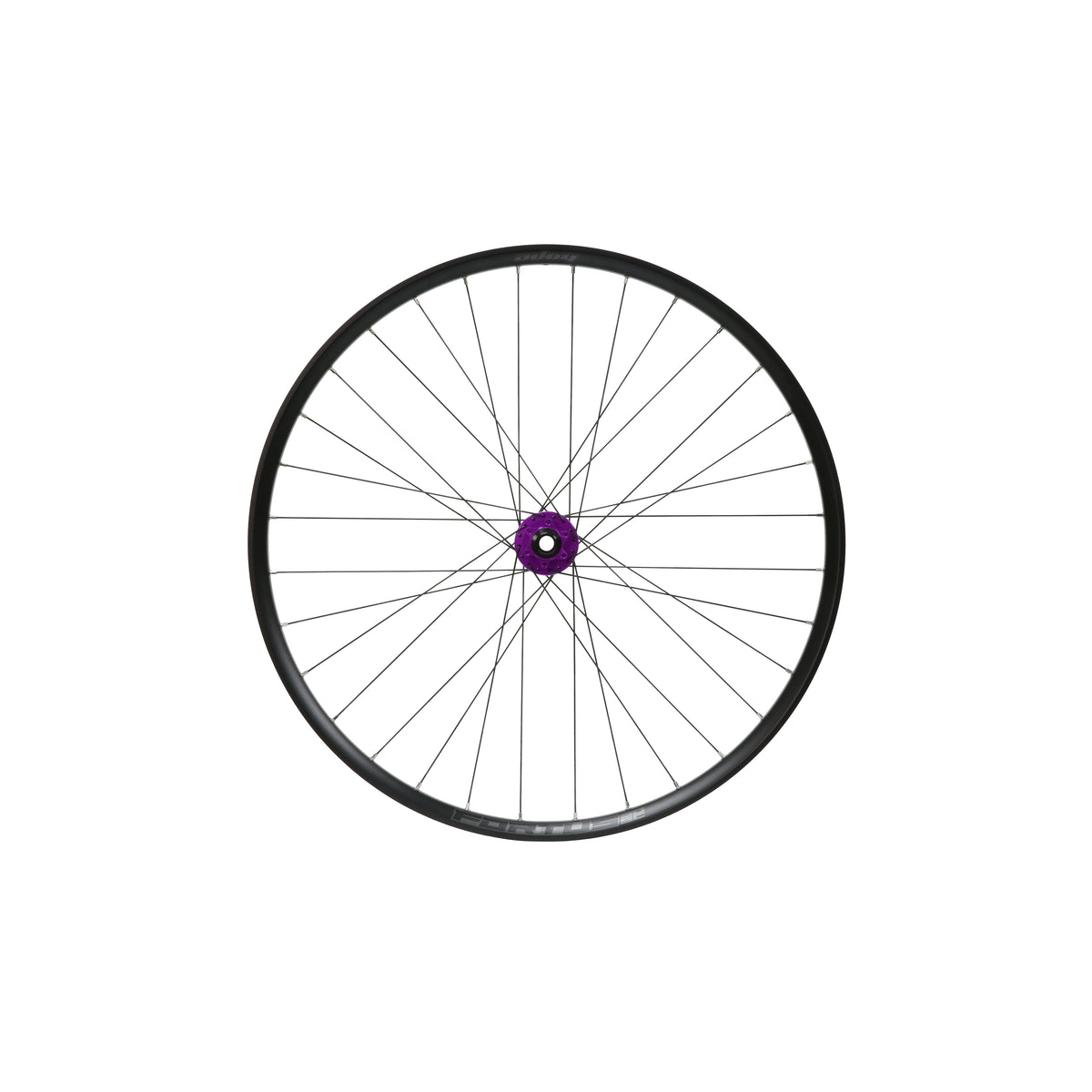 HOPE Fortus 30 W SC Vorderrad, 29 Zoll, Pro 5 Nabe in Violett