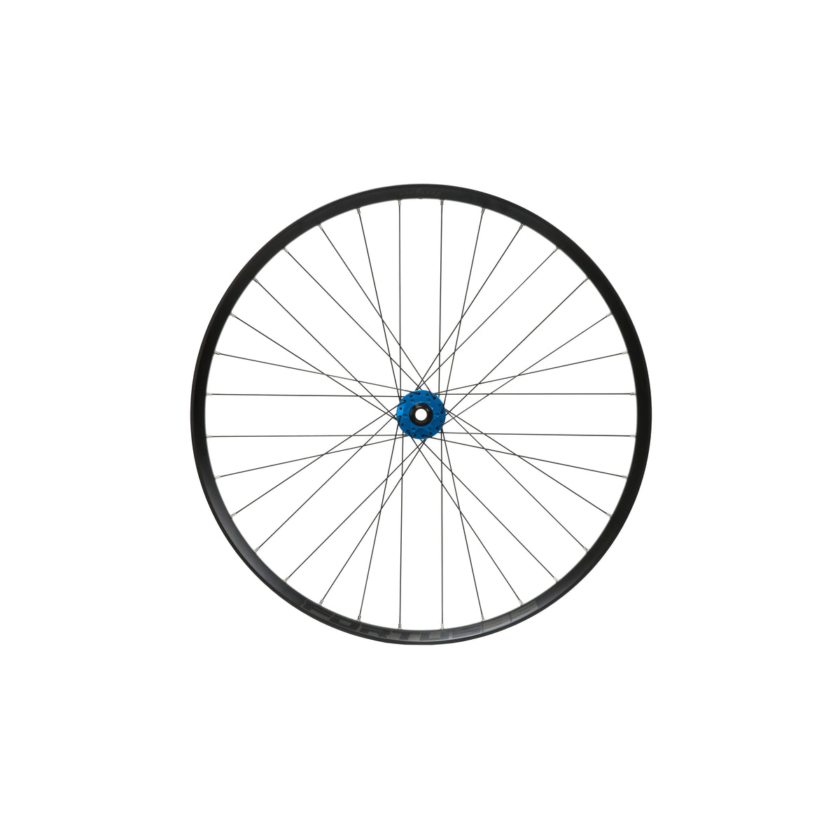 HOPE Fortus 35 W Vorderrad, 29 Zoll, Pro 5 Nabe in Blau