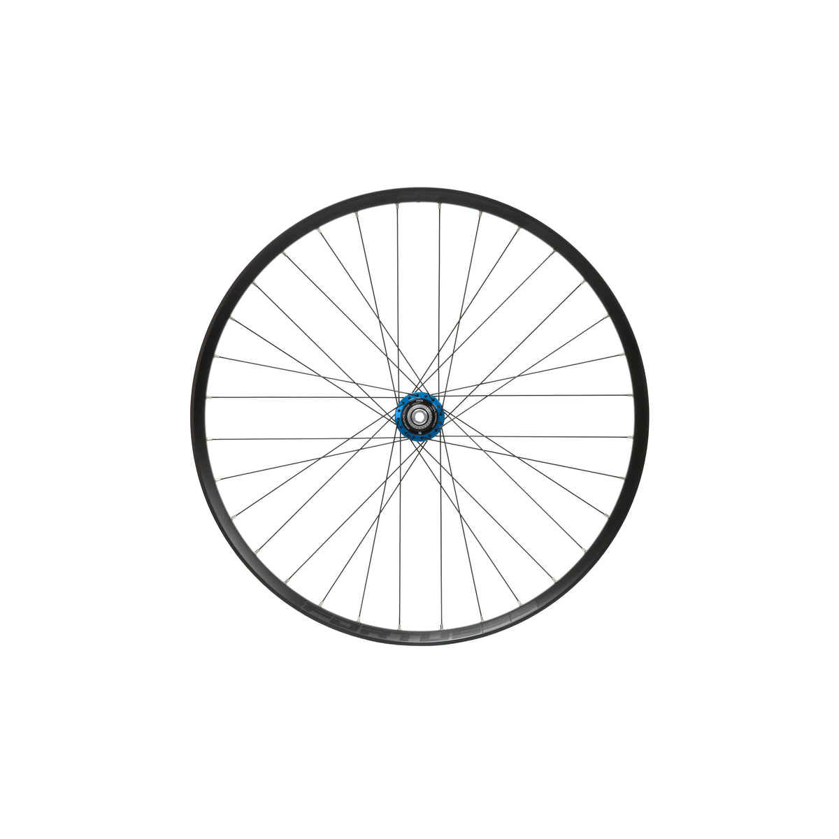 HOPE Fortus 35 W Hinterrad, 29 Zoll, Pro 5 Nabe in Blau