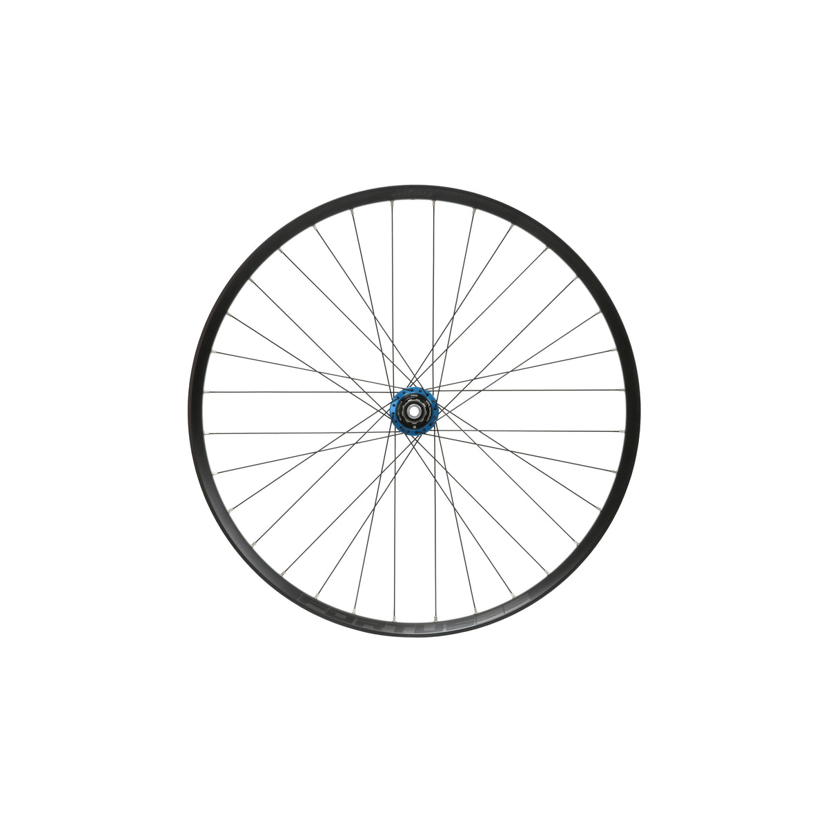HOPE Fortus 35 W Hinterrad, 29 Zoll, Pro 5 Nabe in Blau