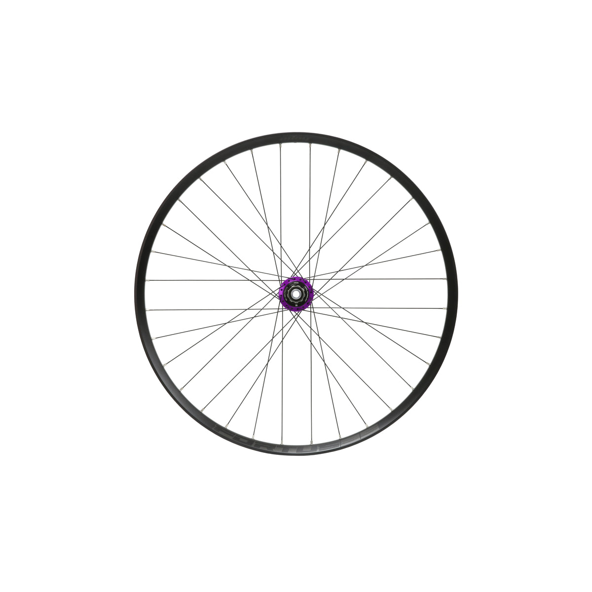 HOPE Fortus 35 W Hinterrad, 29 Zoll, Pro 5 Nabe in Violett