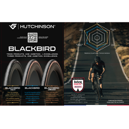 HUTCHINSON BLACKBIRD Tubeless Ready Reifen Braun