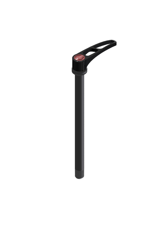 Hinterradachse DT SWISS RWS Plug In 12x142 mm