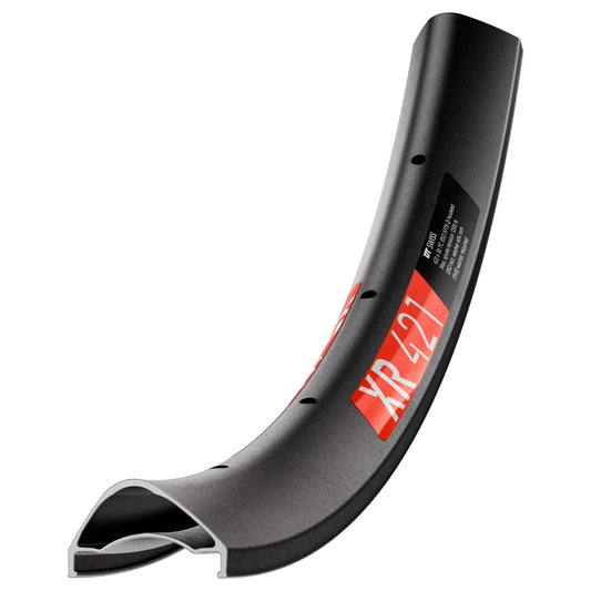 DT SWISS XR 421 Felge 29" 30 mm