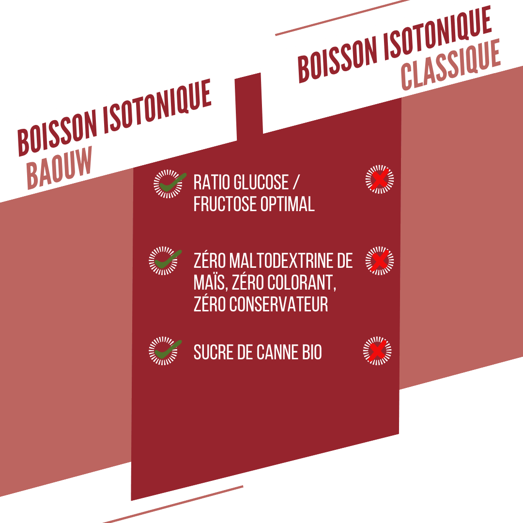 BAOUW ISOTONIC Energy Drink (45g) Wassermelone/Granatapfel