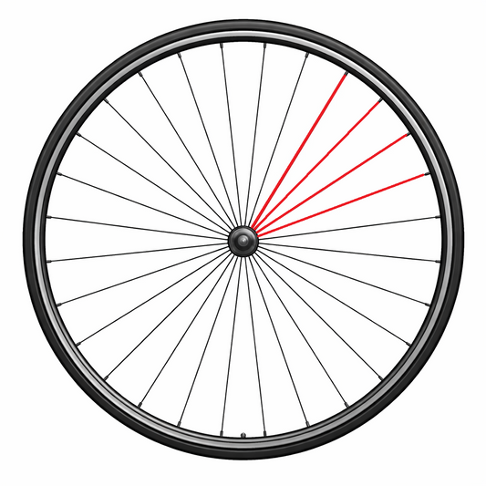 KOMPLETTE SPEICHE CAMPAGNOLO HINTEN LINKS ZONDA (4 STK.)