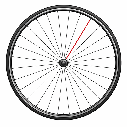 RAYON CAMPAGNOLO SHAMAL ULTRA HINTERE LINKS 2010-2016 276.5mm