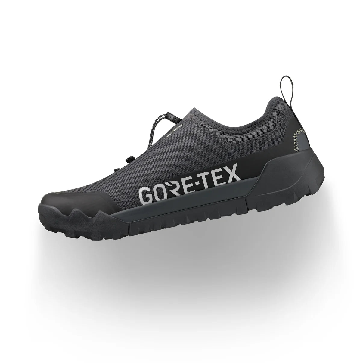 Mountainbike-Schuh FIZIK ERGOLACE 2 GTX FLAT Schwarz