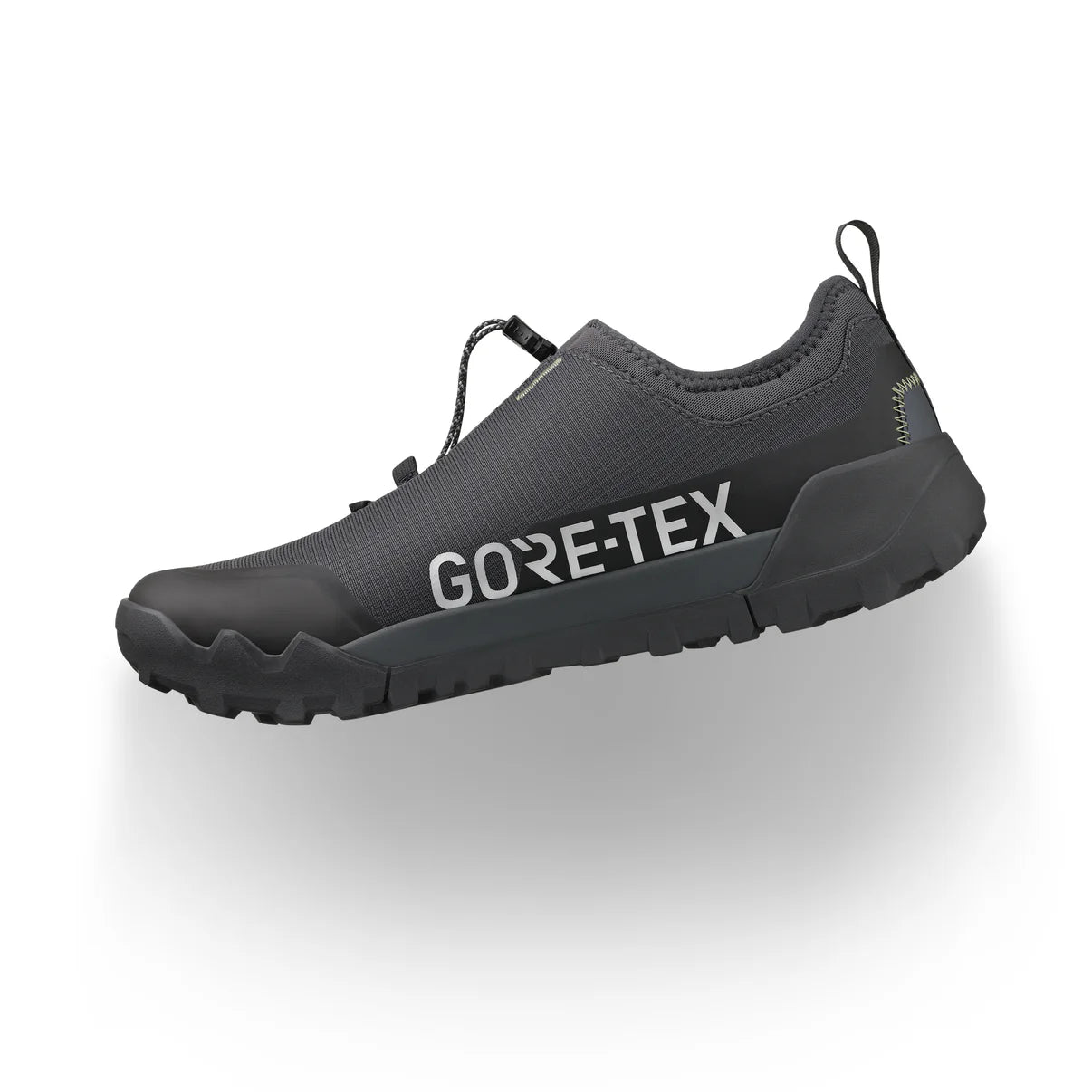 Mountainbike-Schuh FIZIK ERGOLACE 2 GTX Schwarz