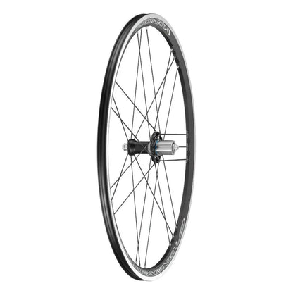 Hinterrad CAMPAGNOLO ZONDA