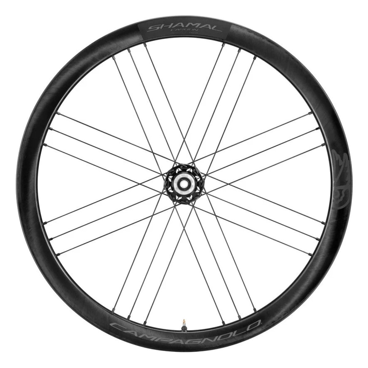 Hinterrad CAMPAGNOLO SHAMAL DISC mit Bereifung (Center Lock)