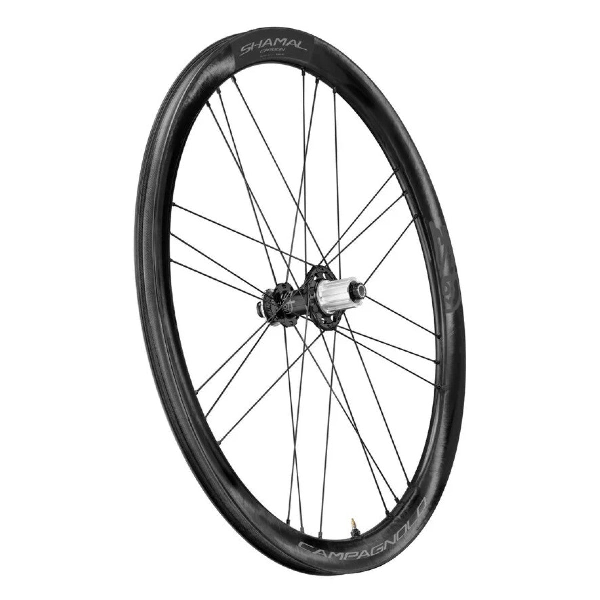 Hinterrad CAMPAGNOLO SHAMAL DISC mit Bereifung (Center Lock)