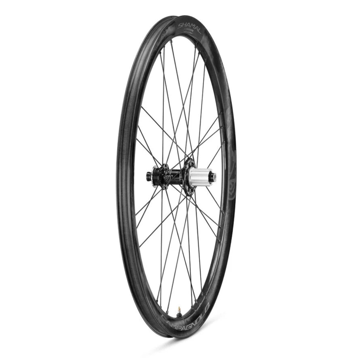 Hinterrad CAMPAGNOLO SHAMAL DISC mit Bereifung (Center Lock)