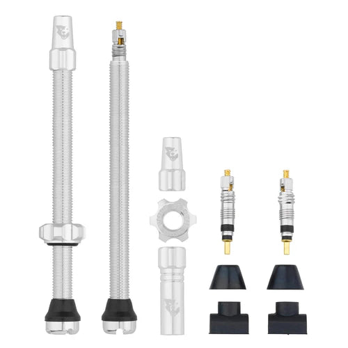 Satz von 2 Tubeless-Ventilen WOLF TOOTH Raw Silver