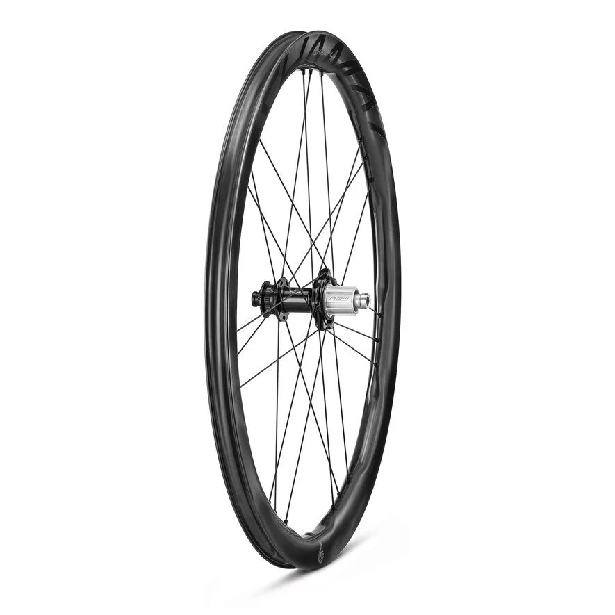 Paar CAMPAGNOLO SHAMAL DUAL PROFILE CARBON C23 Tubeless Ready (Center Lock) Laufräder